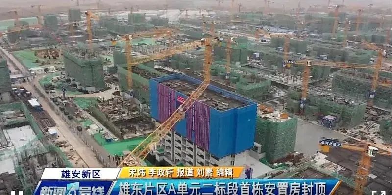 焦點(diǎn)！大將軍驚艷亮相雄安德維斯建博會(huì)，流量爆棚引圍觀！(圖7)