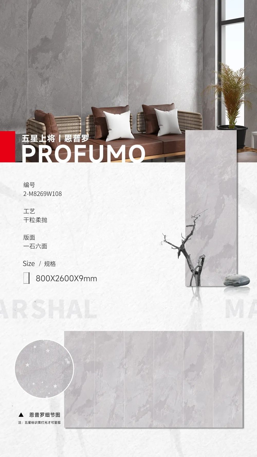 五星上將| 超級(jí)IP產(chǎn)品，打造理想生活樣本(圖7)
