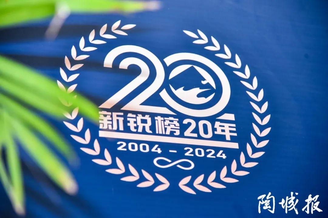 卓越力量，載譽領航！大將軍瓷磚實力斬獲“新銳榜20年卓越品牌”榮譽(圖3)